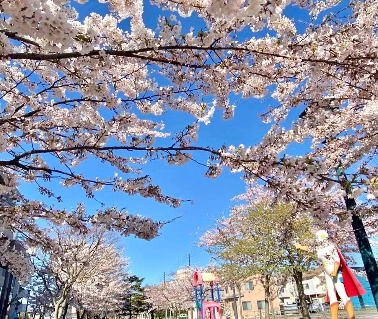 호텔 프로모트 하코다테